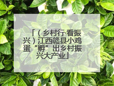 （乡村行·看振兴）江西赣县小鸡蛋“孵”出乡村振兴大产业