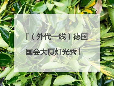 （外代一线）德国国会大厦灯光秀