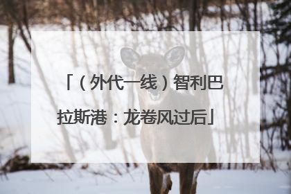 （外代一线）智利巴拉斯港：龙卷风过后