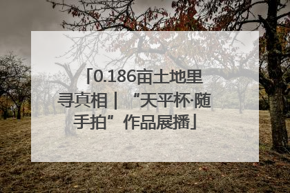 0.186亩土地里寻真相｜“天平杯·随手拍”作品展播