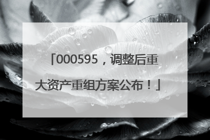 000595，调整后重大资产重组方案公布！