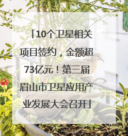 10个卫星相关项目签约，金额超73亿元！第三届眉山市卫星应用产业发展大会召开