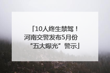 10人终生禁驾！河南交警发布5月份“五大曝光”警示