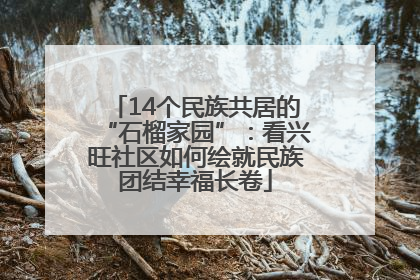 14个民族共居的“石榴家园”：看兴旺社区如何绘就民族团结幸福长卷