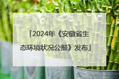 2024年《安徽省生态环境状况公报》发布
