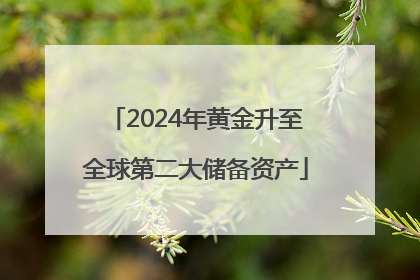 2024年黄金升至全球第二大储备资产