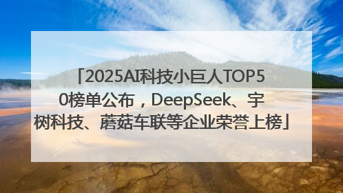 2025AI科技小巨人TOP50榜单公布，DeepSeek、宇树科技、蘑菇车联等企业荣誉上榜