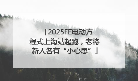 2025FE电动方程式上海站起跑，老将新人各有“小心思”