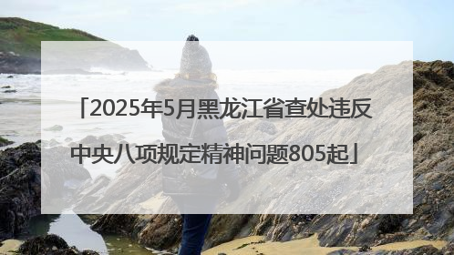 2025年5月黑龙江省查处违反中央八项规定精神问题805起