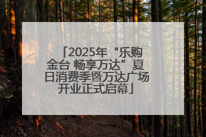 2025年“乐购金台 畅享万达”夏日消费季暨万达广场开业正式启幕