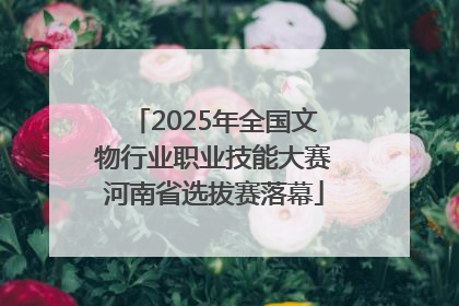 2025年全国文物行业职业技能大赛河南省选拔赛落幕