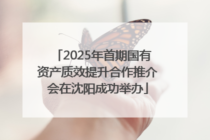 2025年首期国有资产质效提升合作推介会在沈阳成功举办