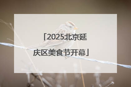 2025北京延庆区美食节开幕