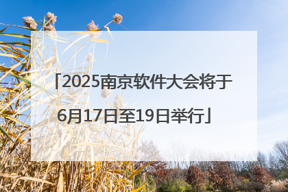 2025南京软件大会将于6月17日至19日举行