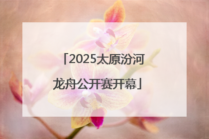2025太原汾河龙舟公开赛开幕