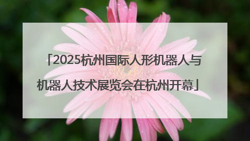 2025杭州国际人形机器人与机器人技术展览会在杭州开幕