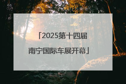 2025第十四届南宁国际车展开幕