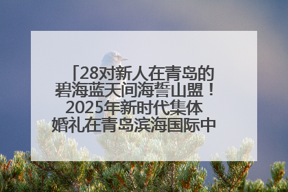 28对新人在青岛的碧海蓝天间海誓山盟！2025年新时代集体婚礼在青岛滨海国际中心文明实践广场举行