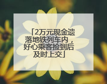 2万元现金遗落地铁列车内，好心乘客捡到后及时上交