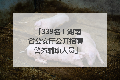 339名！湖南省公安厅公开招聘警务辅助人员