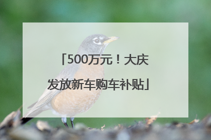 500万元！大庆发放新车购车补贴