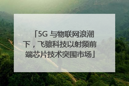 5G 与物联网浪潮下，飞骧科技以射频前端芯片技术突围市场