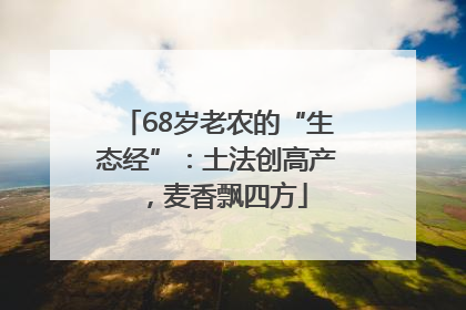 68岁老农的“生态经”：土法创高产，麦香飘四方