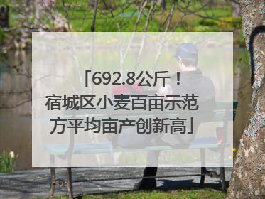 692.8公斤！宿城区小麦百亩示范方平均亩产创新高