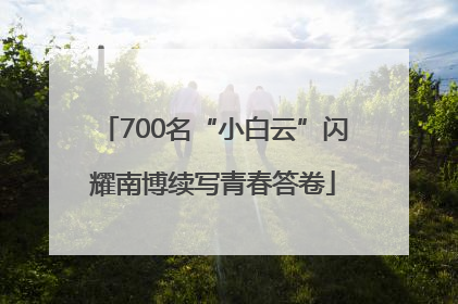 700名“小白云”闪耀南博续写青春答卷
