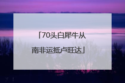 70头白犀牛从南非运抵卢旺达