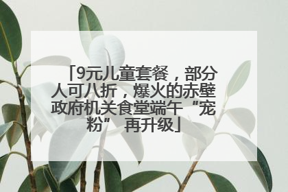 9元儿童套餐，部分人可八折，爆火的赤壁政府机关食堂端午“宠粉” 再升级