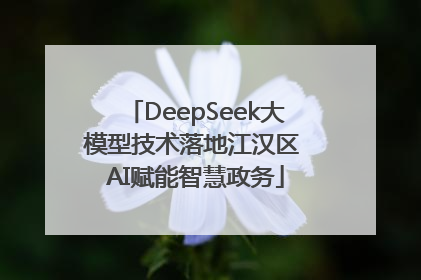DeepSeek大模型技术落地江汉区 AI赋能智慧政务