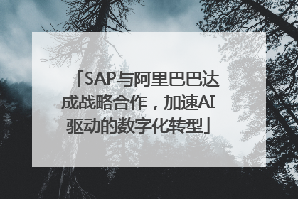 SAP与阿里巴巴达成战略合作，加速AI驱动的数字化转型